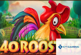 40 Roosters