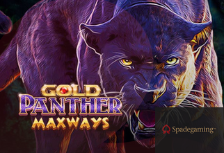 Gold Panther Maxways